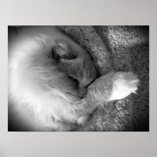 Poster Jours Lents, (Devant)
