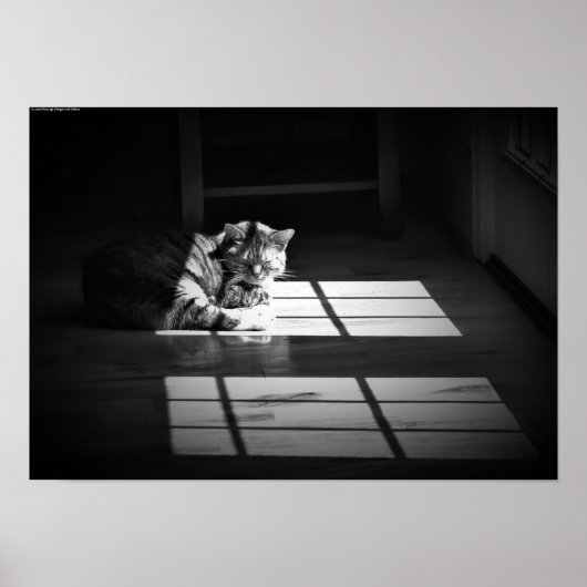 Poster Jours Lents, (Devant)