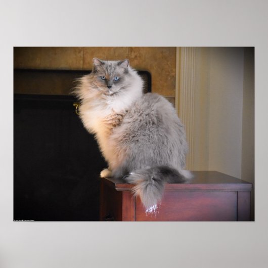 Poster Jours Lents, (Devant)