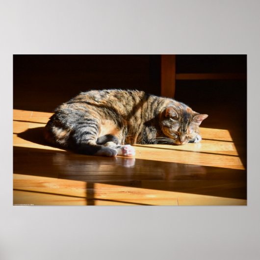 Poster Jours Lents, (Devant)