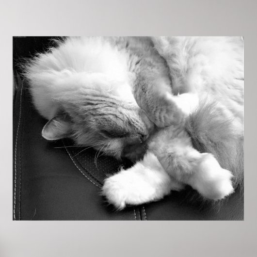 Poster Jours Lents, (Devant)