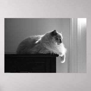 Poster Jours Lents,
