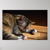 Poster Jours Lents, (Devant)