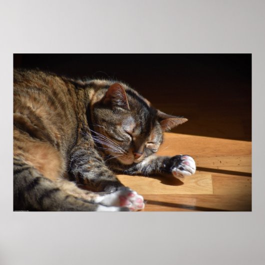 Poster Jours Lents, (Devant)