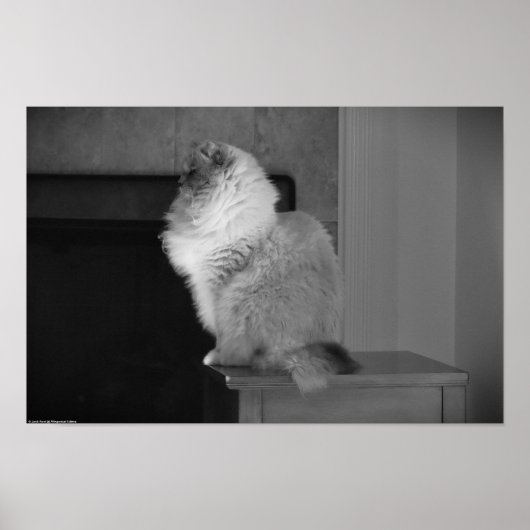 Poster Jours Lents, (Devant)