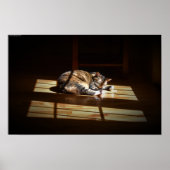 Poster Jours Lents, (Devant)