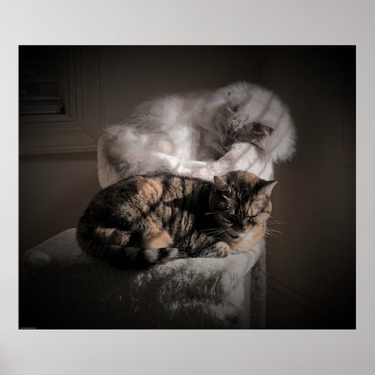 Poster Jours Lents, (Devant)