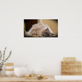 Poster Jours Lents, (Cuisine)