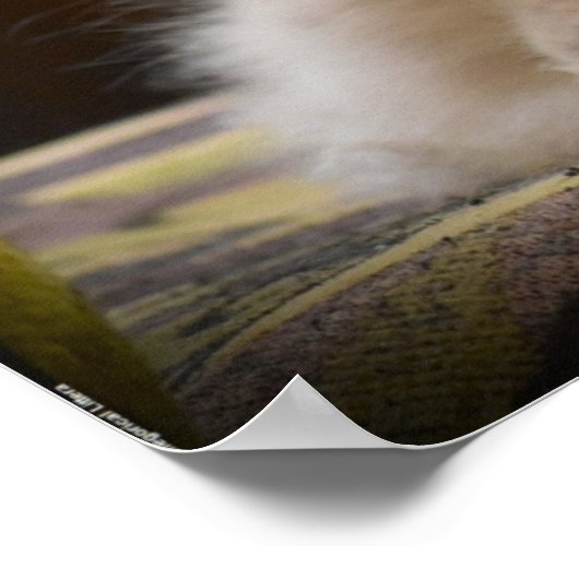 Poster Jours Lents, (Coin)