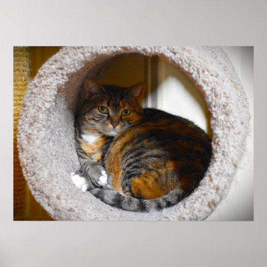 Poster Jours Lents, (Devant)