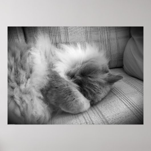 Poster Jours Lents, (Devant)