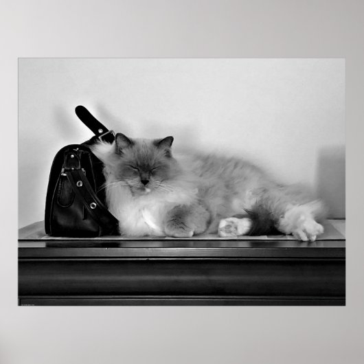 Poster Jours Lents, (Devant)