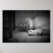 Poster Jours Lents, (Devant)