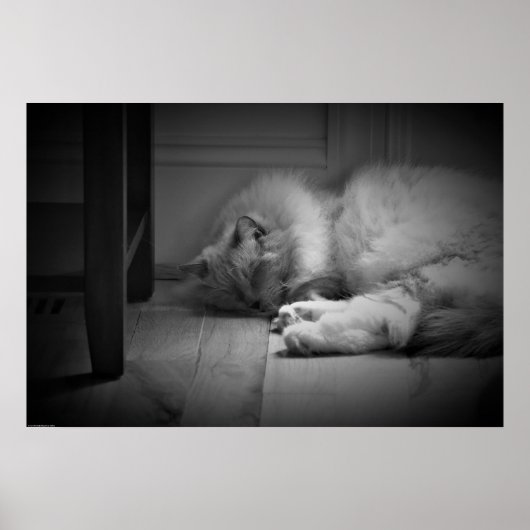 Poster Jours Lents, (Devant)