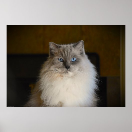 Poster Jours Lents, (Devant)