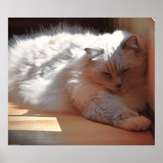 Poster Jours Lents, (Devant)