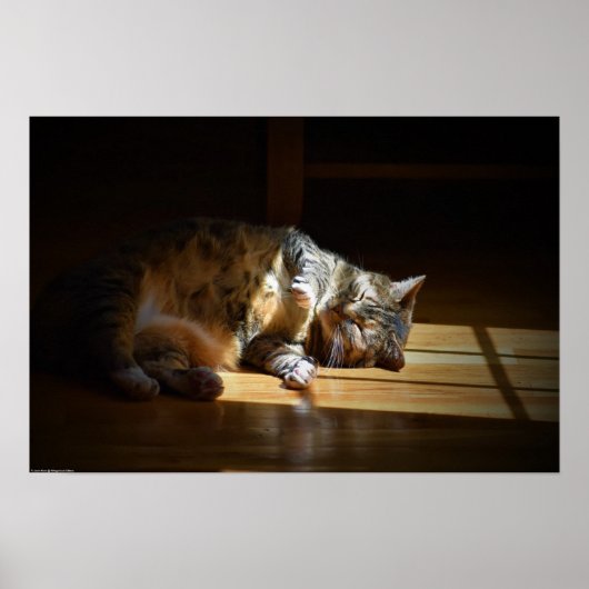 Poster Jours Lents, (Devant)