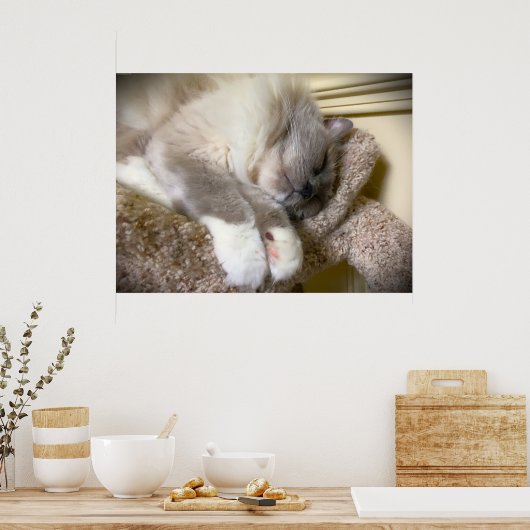 Poster Jours Lents, (Cuisine)