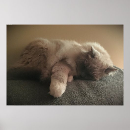 Poster Jours Lents, (Devant)