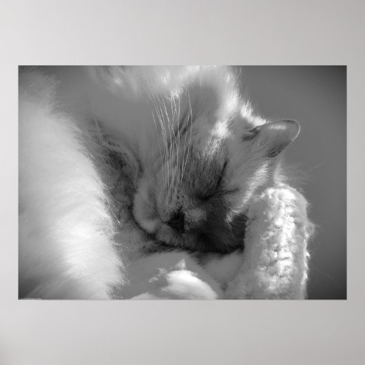 Poster Jours Lents, (Devant)