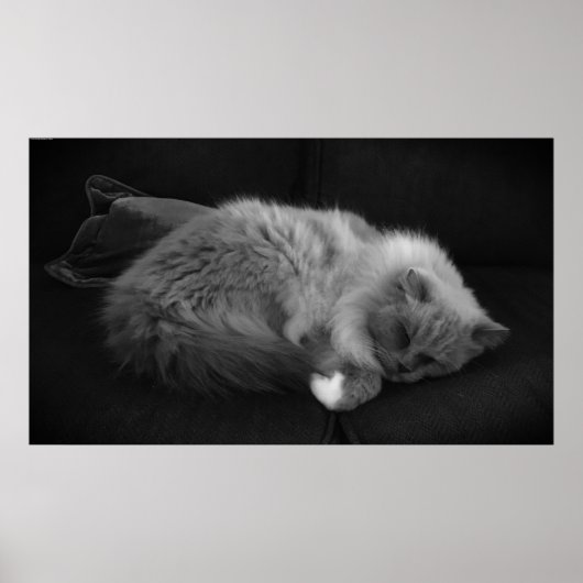 Poster Jours Lents, (Devant)