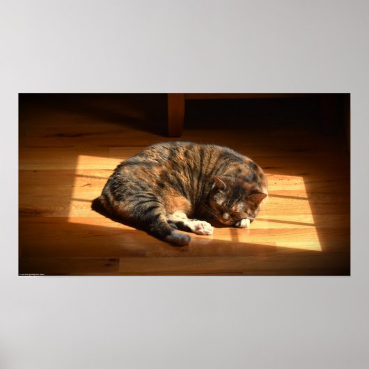 Poster Jours Lents, (Devant)