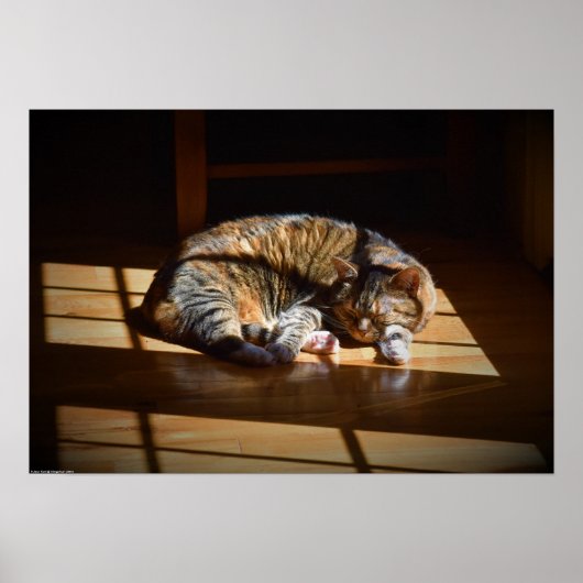 Poster Jours Lents, (Devant)