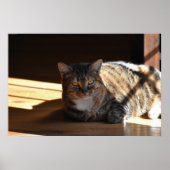 Poster Jours Lents, (Devant)