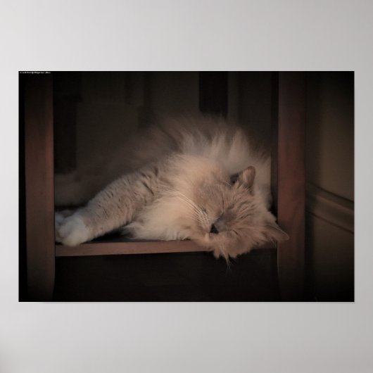 Poster Jours Lents, (Devant)