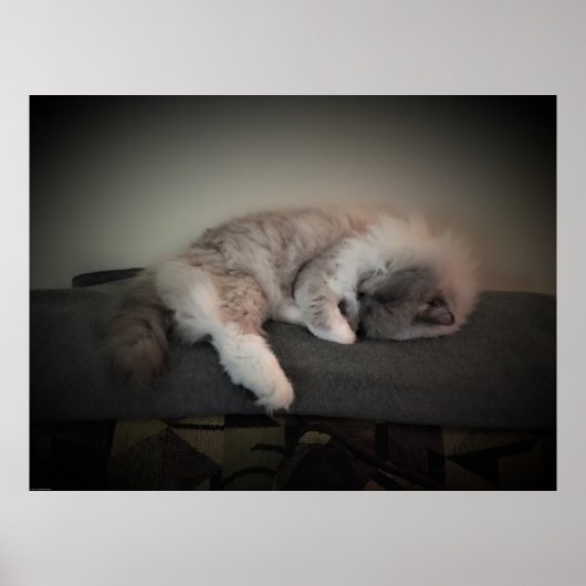 Poster Jours Lents, (Devant)