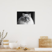Poster Jours Lents, (Cuisine)