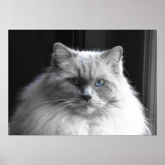 Poster Jours Lents, (Devant)