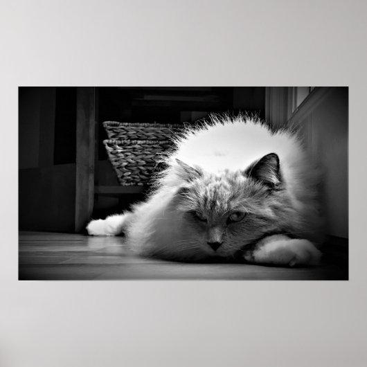 Poster Jours Lents, (Devant)
