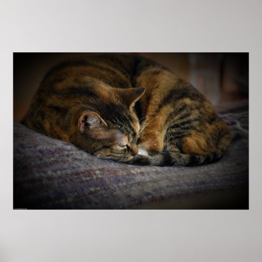 Poster Jours Lents, (Devant)