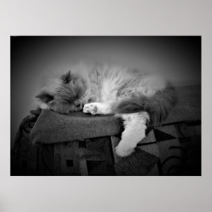 Poster Jours Lents,