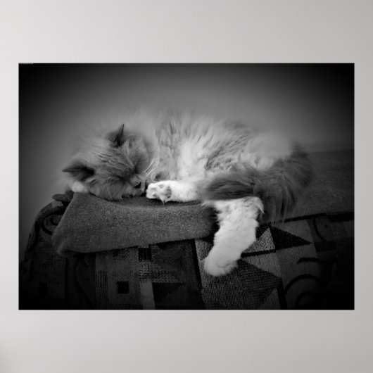 Poster Jours Lents, (Devant)