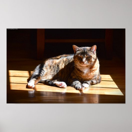 Poster Jours Lents, (Devant)