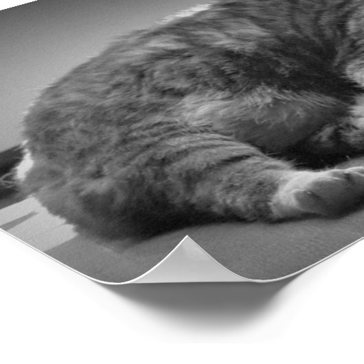 Poster Jours Lents, (Coin)