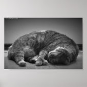 Poster Jours Lents, (Devant)