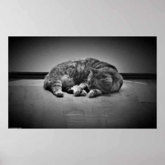 Poster Jours Lents, (Devant)