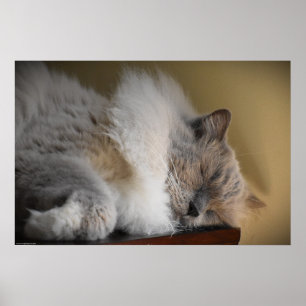 Poster Jours Lents,