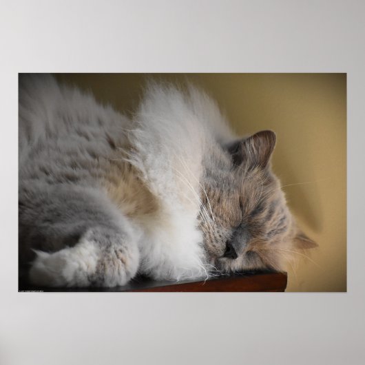 Poster Jours Lents, (Devant)