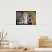 Poster Jours Lents, (Cuisine)