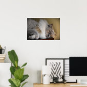 Poster Jours Lents, (Bureau à domicile)