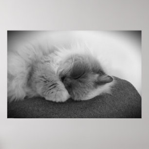 Poster Jours Lents,