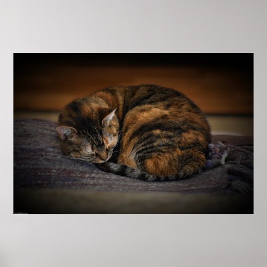 Poster Jours Lents, (Devant)