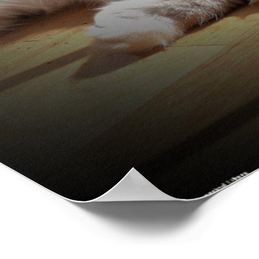 Poster Jours Lents, (Coin)