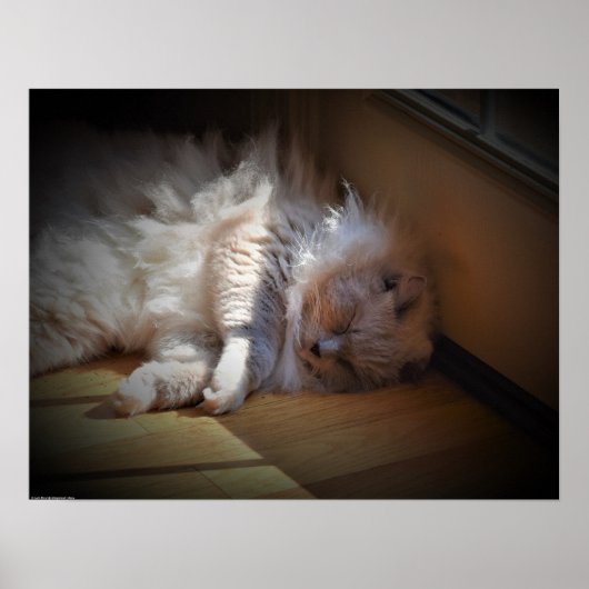 Poster Jours Lents, (Devant)