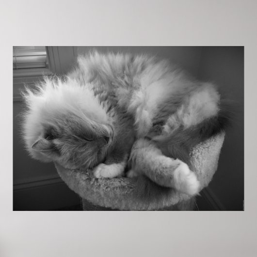 Poster Jours Lents, (Devant)