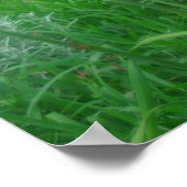 Poster Jours, Orange (Coin)